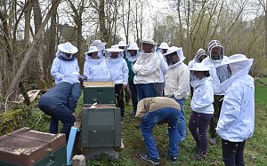 Wellness f&uuml;r die Bienen