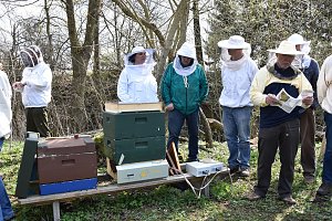 Wellness f&uuml;r die Bienen