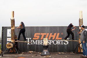 Sportholzf&auml;ller