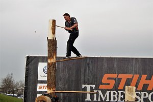 Sportholzf&auml;ller