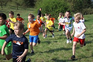 Tolles Kreisfinale beim Crosslauf