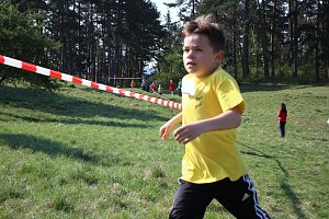 Tolles Kreisfinale beim Crosslauf