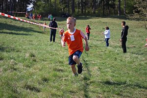 Tolles Kreisfinale beim Crosslauf