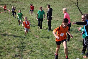 Tolles Kreisfinale beim Crosslauf