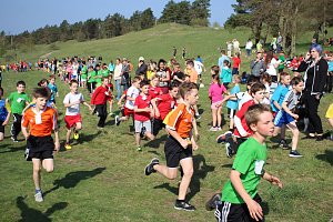 Tolles Kreisfinale beim Crosslauf
