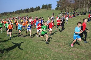 Tolles Kreisfinale beim Crosslauf