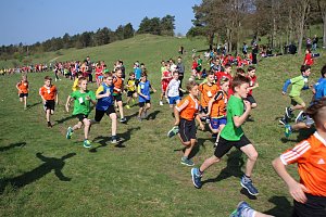 Tolles Kreisfinale beim Crosslauf