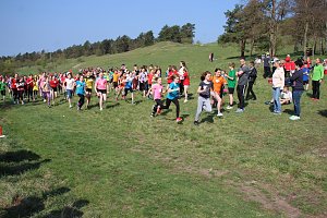 Tolles Kreisfinale beim Crosslauf