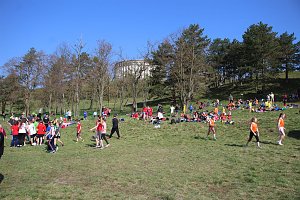 Tolles Kreisfinale beim Crosslauf