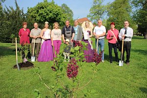 Gro&szlig;e Fliederbaumplanzaktion in Bad Frankenhausen