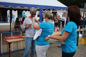 24-Stunden-Schwimmen begeisterte