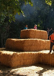 Auch in Dietenborn wird gefeiert