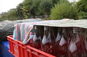 Besuch in der Hofmosterei Harzungen