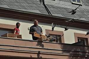 Vom Stadtfest