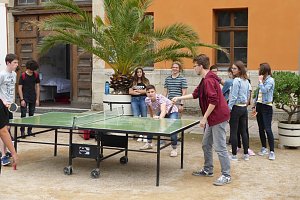 12. Rotarischer Sommerkurs sehr erfolgreich