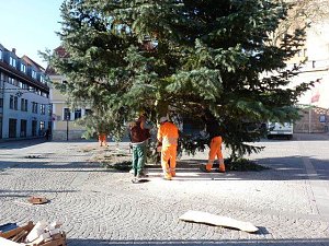 Weihnachtsbaum Sondershausen