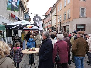 Start in den Advent