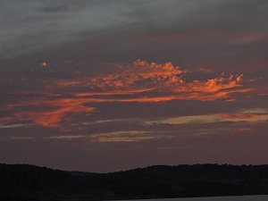 Kraniche am Stausee