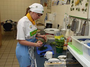 Junge K&ouml;che