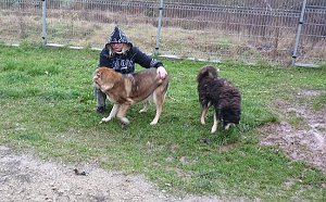 Tibor und Asta
