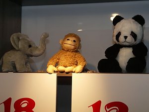 B&auml;ren und andere Freunde