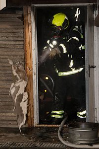 Brand in der K&auml;the-Kollwitz-Stra&szlig;e