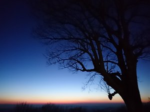 Sonne, Mond und Sterne