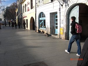 Unterwegs in Rum&auml;nien