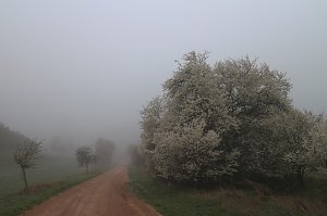 Fr&uuml;hjahrswanderung bei Auleben
