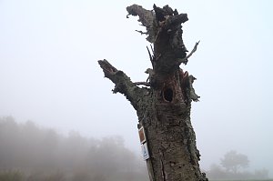 Fr&uuml;hjahrswanderung bei Auleben