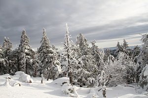 Heiligabend noch kurz auf den Brocken