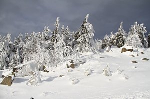 Heiligabend noch kurz auf den Brocken