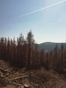 Erlebnis der besonderen Art