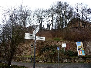 Ohne Laub
