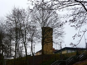 Ohne Laub