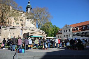 Ansturm auf Sondersh&auml;user Blumen-, Pflanzen- und Staudenmarkt