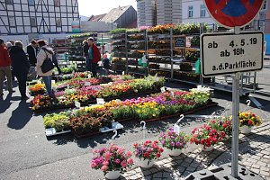 Ansturm auf Sondersh&auml;user Blumen-, Pflanzen- und Staudenmarkt
