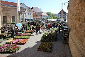 Ansturm auf Sondersh&auml;user Blumen-, Pflanzen- und Staudenmarkt