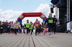 6. Harztorlauf