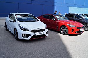 Autofr&uuml;hling 2019