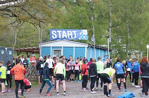 Harztorlauf und L&auml;mmerfest