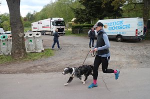 Harztorlauf und L&auml;mmerfest