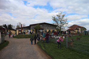 Harztorlauf und L&auml;mmerfest