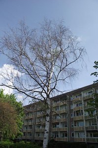 Die Auswirkungen des Hitze-Sommers 2018 sind auch im Stadtgebiet allgegenw&auml;rtig