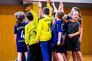 Handballzwerge im Mittelpunkt