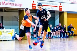 NSV-Handballer sind Vize-Landesmeister