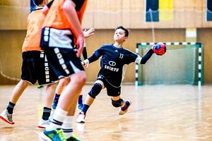 NSV-Handballer sind Vize-Landesmeister