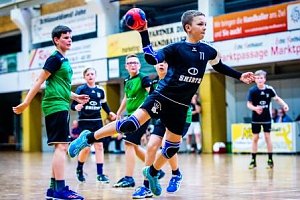 NSV-Handballer sind Vize-Landesmeister