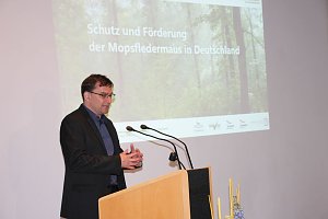 Mittel zum Schutz der Mopsfledermaus