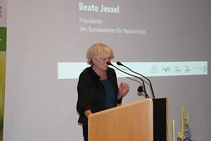 Mittel zum Schutz der Mopsfledermaus